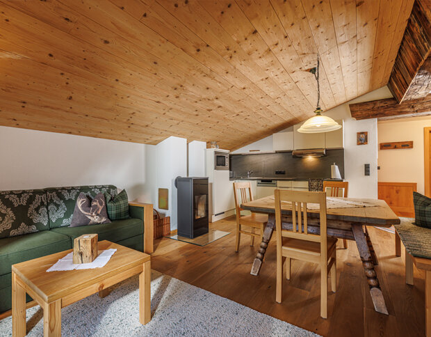 Rustikaler Wohnraum im Appartement Berg