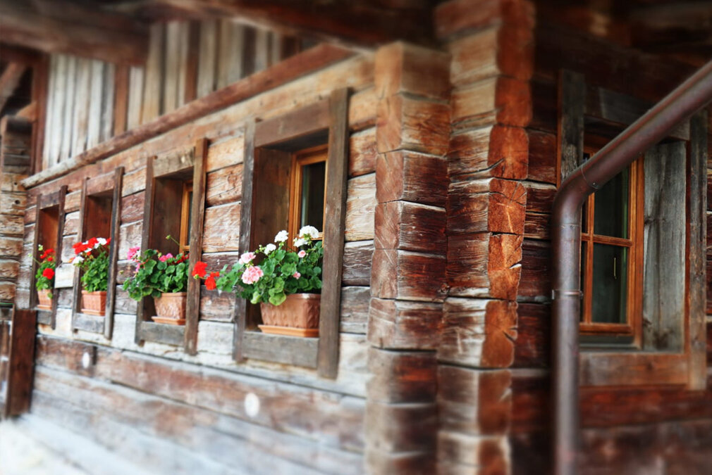 Weil wir die Natur lieben, haben wir uns für Holz als Baustoff entschieden.